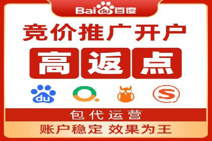 百度推广竞价全解析：某电商平台的营销策略